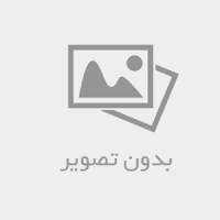 آقای رایمون